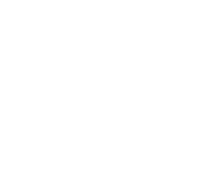 virgin mobile